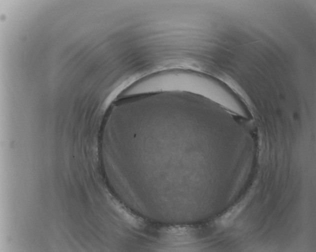 X0000062830834200601271949