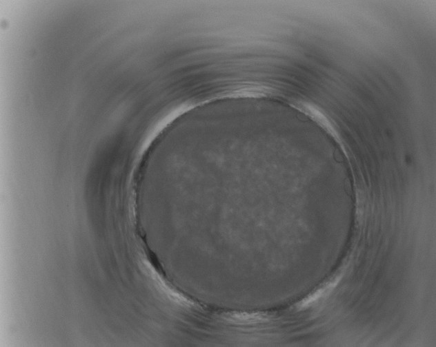 X0000062830835200601271949