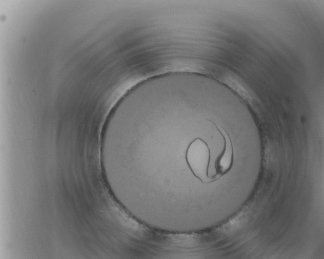 X0000062830836200601271949