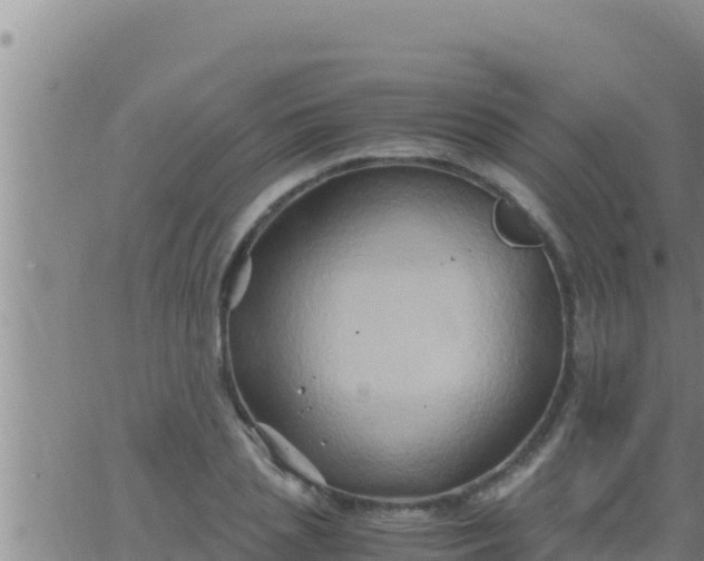 X0000062830837200601271949