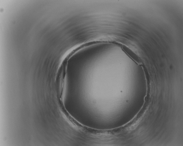 X0000062830838200601271949