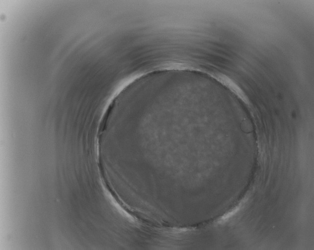 X0000062830839200601271949