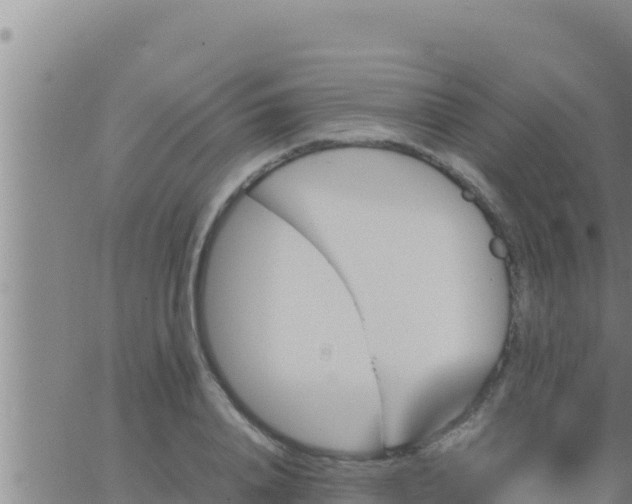 X0000062830840200601271949