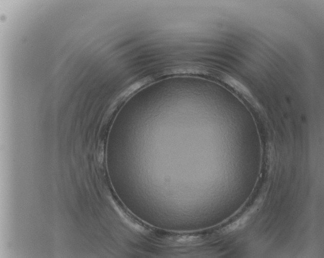 X0000062830841200601271949