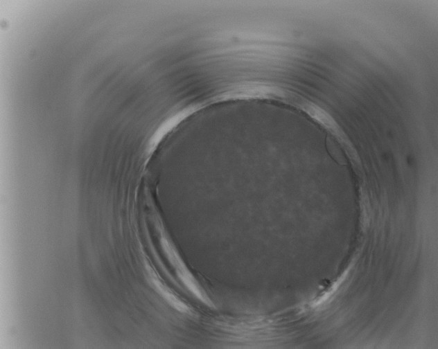 X0000062830842200601271949