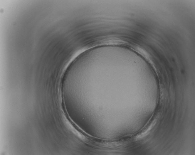 X0000062830843200601271949