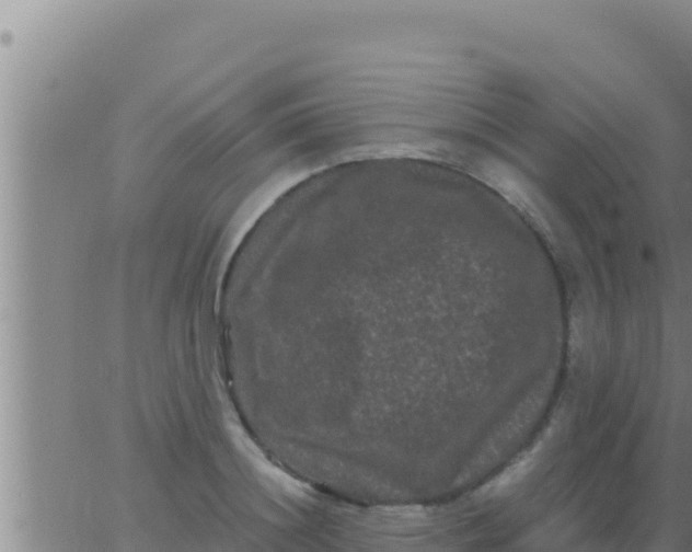 X0000062830844200601271949