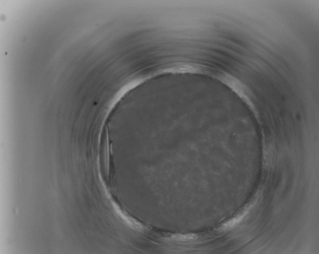 X0000062830845200601271949