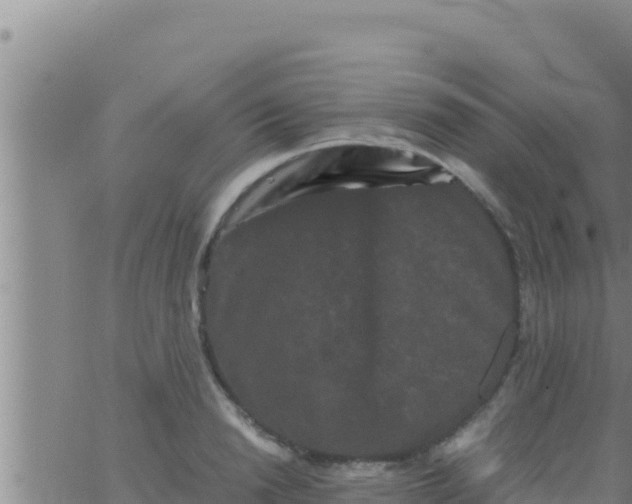 X0000062830846200601271949