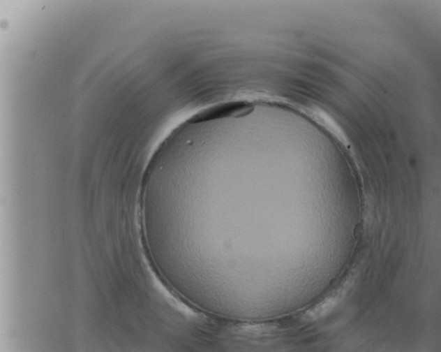 X0000062830847200601271949