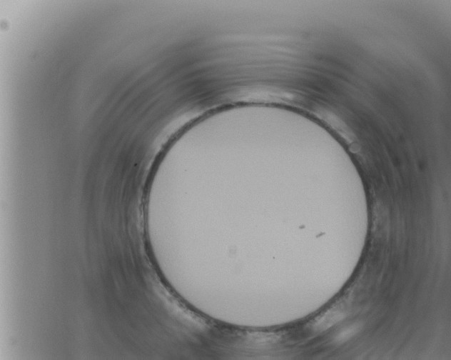 X0000062830848200601271949