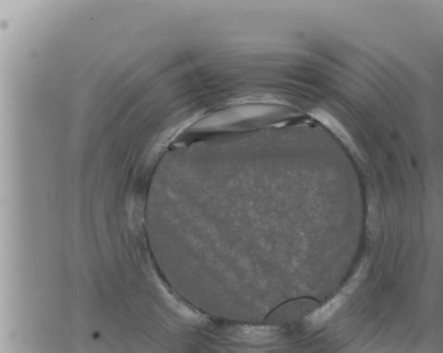 X0000062830849200601271949