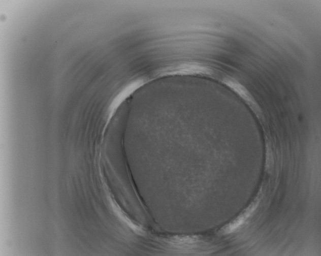 X0000062830850200601271949