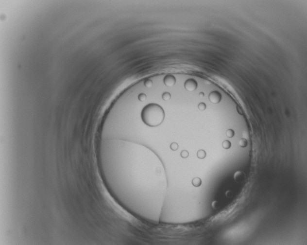 X0000062830851200601271949