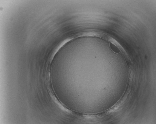 X0000062830852200601271949