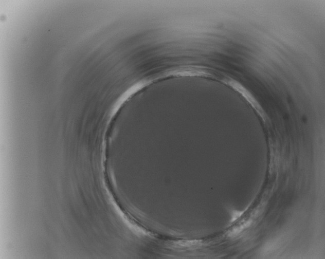 X0000062830853200601271949