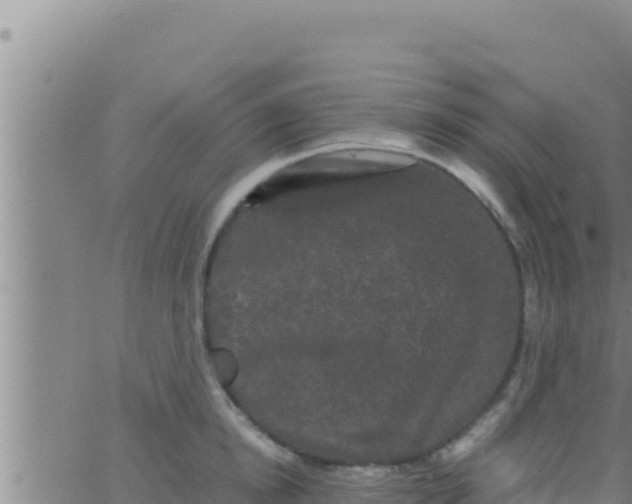 X0000062830854200601271949