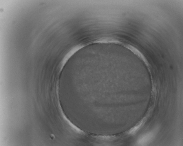 X0000062830855200601271949