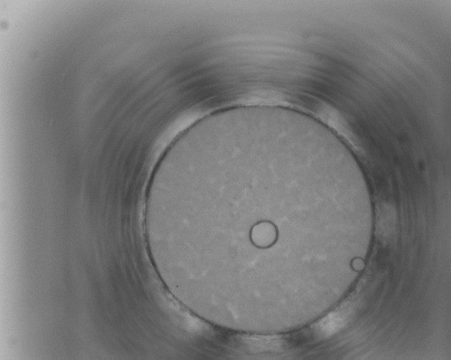 X0000062830856200601271949