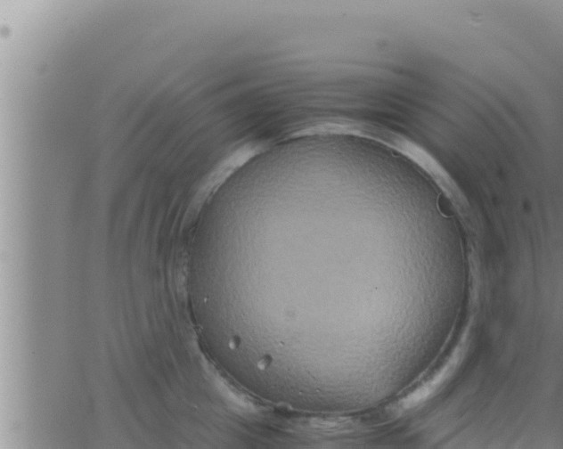 X0000062830857200601271949