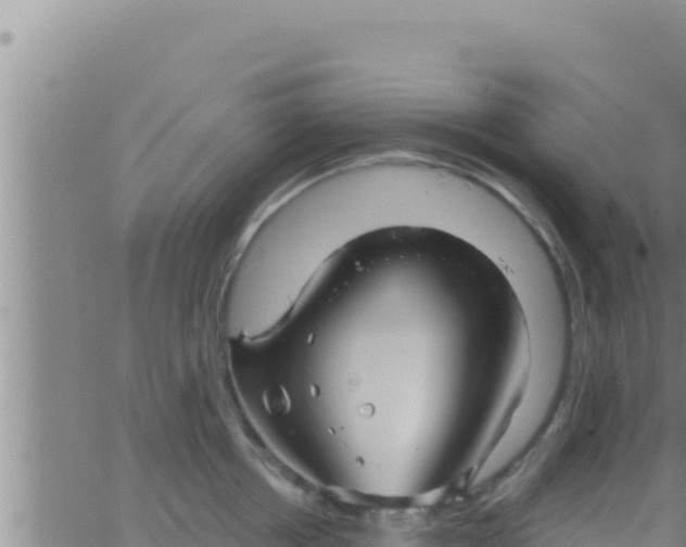 X0000062830858200601271949