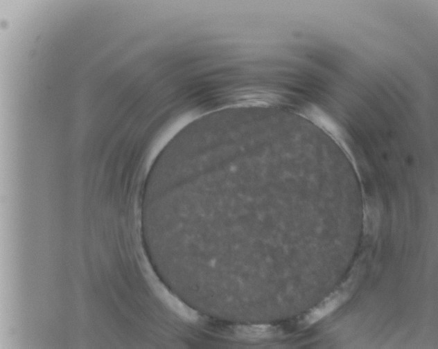 X0000062830859200601271949