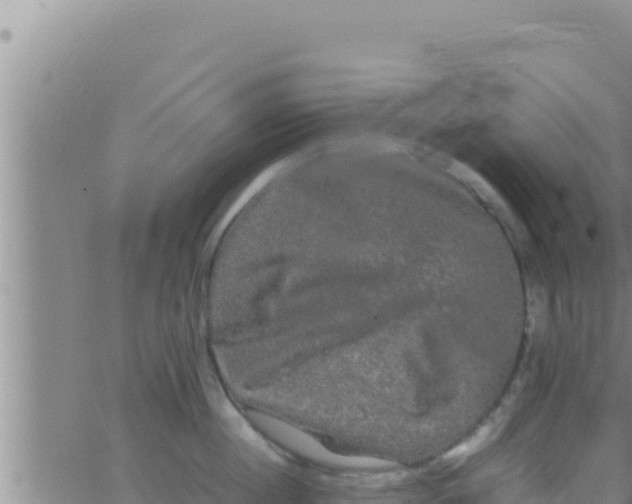 X0000062830860200601271949