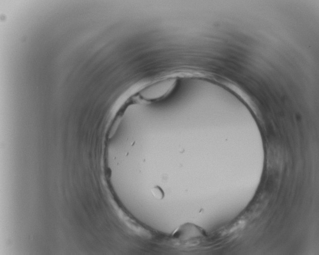 X0000062830861200601271949