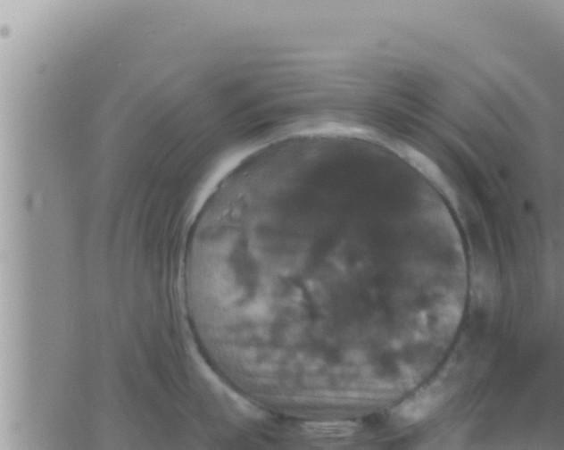 X0000062830863200601271949