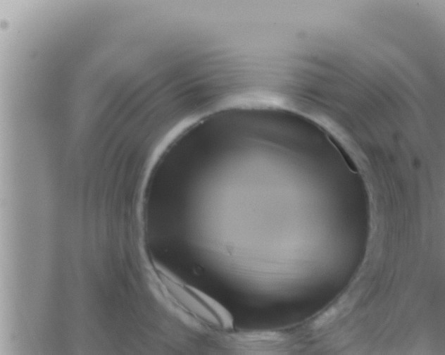 X0000062830864200601271949