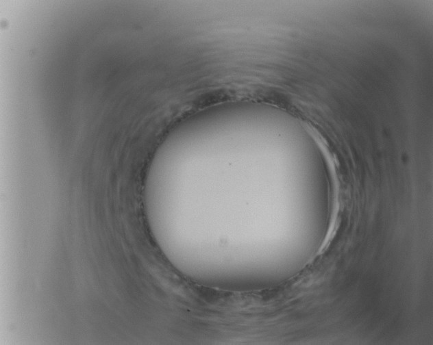 X0000062830865200601271949