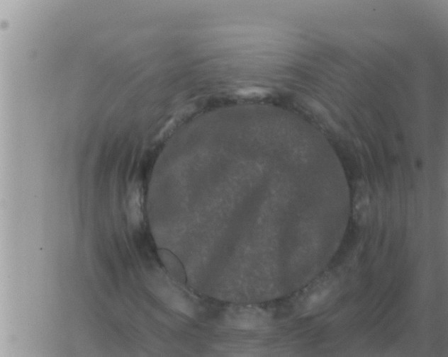 X0000062830866200601271949