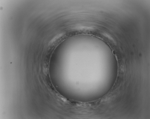 X0000062830869200601271948