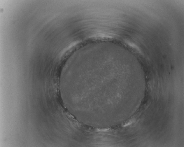 X0000062830870200601271948