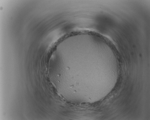 X0000062830871200601271948