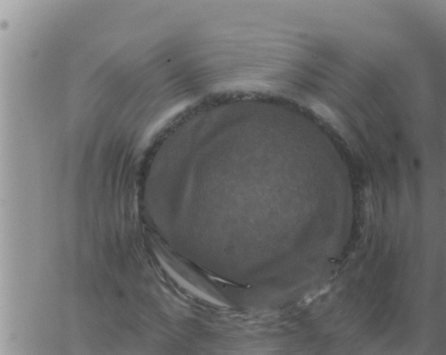 X0000062830872200601271948