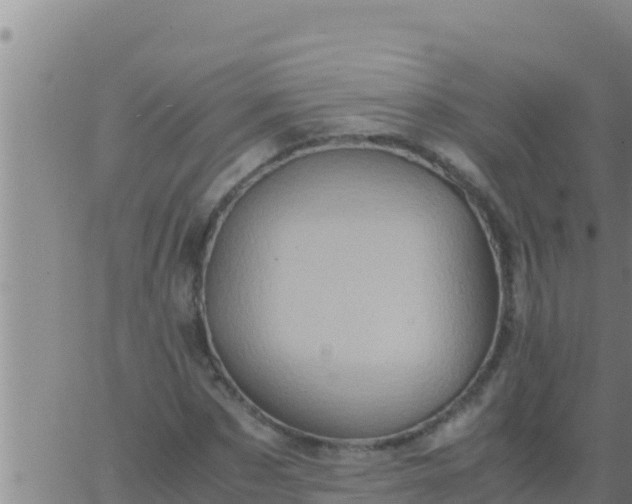 X0000062830873200601271948