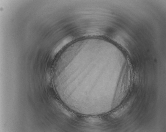 X0000062830874200601271948