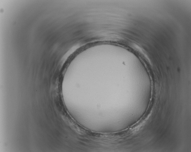 X0000062830875200601271948