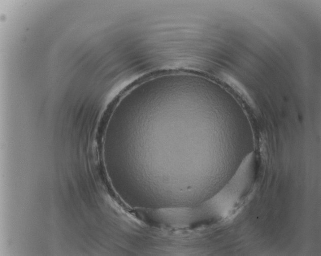 X0000062830876200601271948