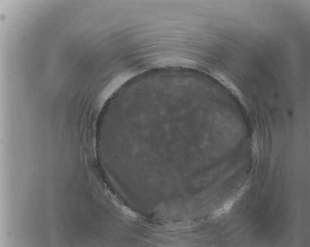 X0000062830877200601271948