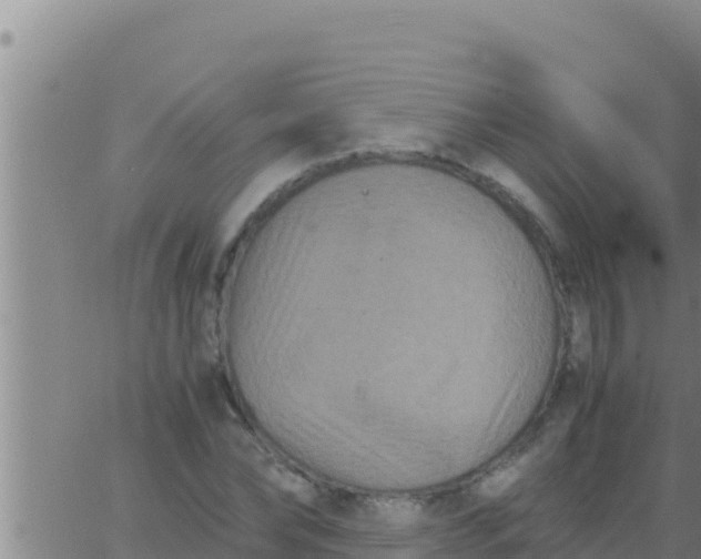 X0000062830878200601271948