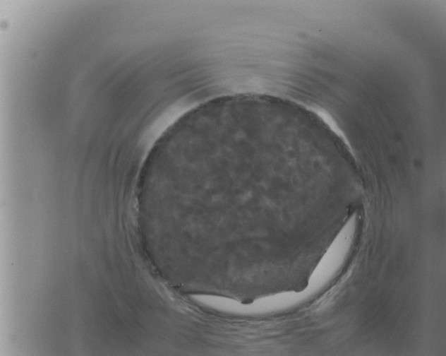 X0000062830879200601271948