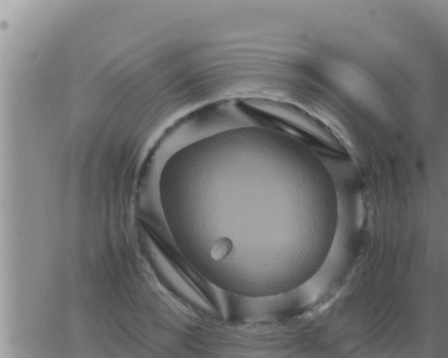 X0000062830880200601271948