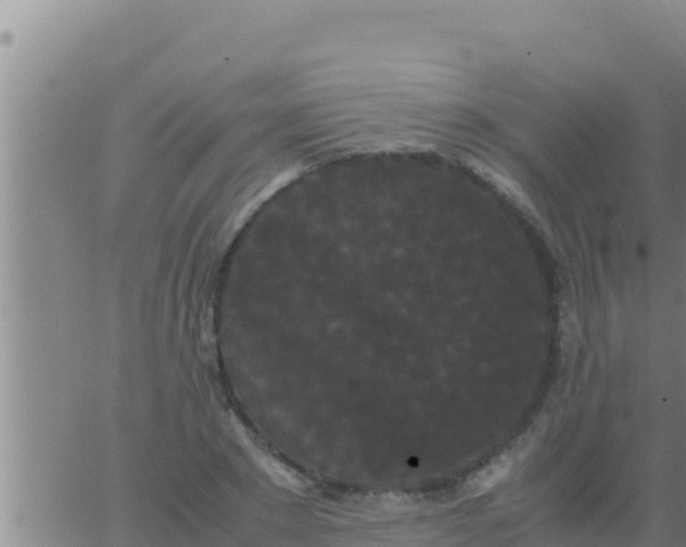 X0000062830881200601271948