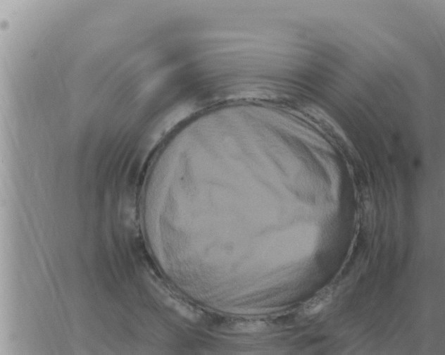 X0000062830882200601271948