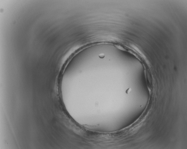 X0000062830883200601271948