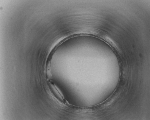 X0000062830884200601271948