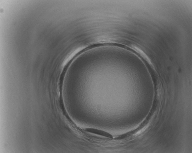 X0000062830885200601271948