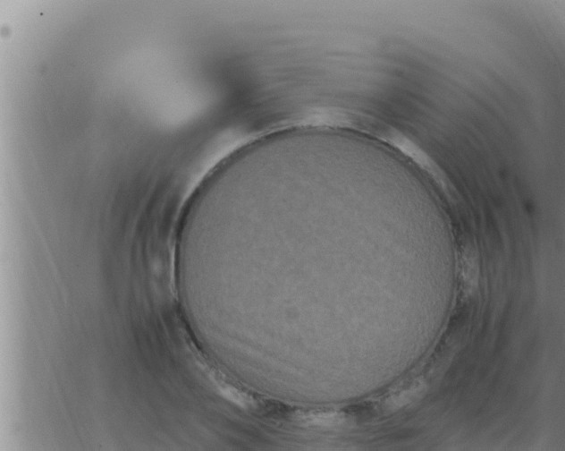 X0000062830886200601271948